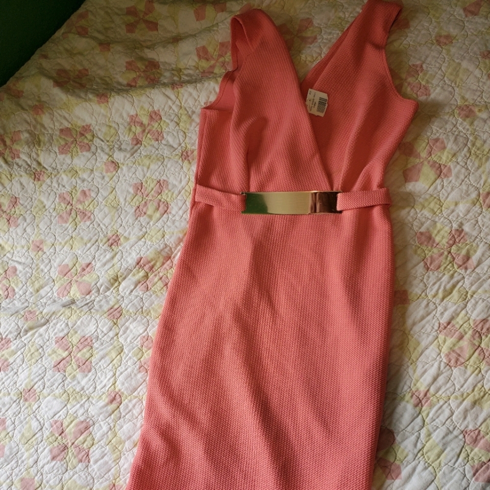 Ambiance Barbie Pink Dress